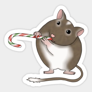 Cute brown gerbil with a candy cane Sticker